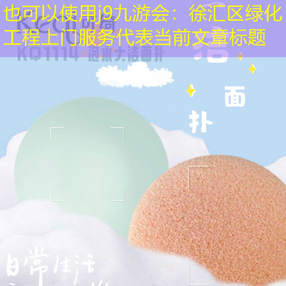 徐汇区绿化工程上门服务