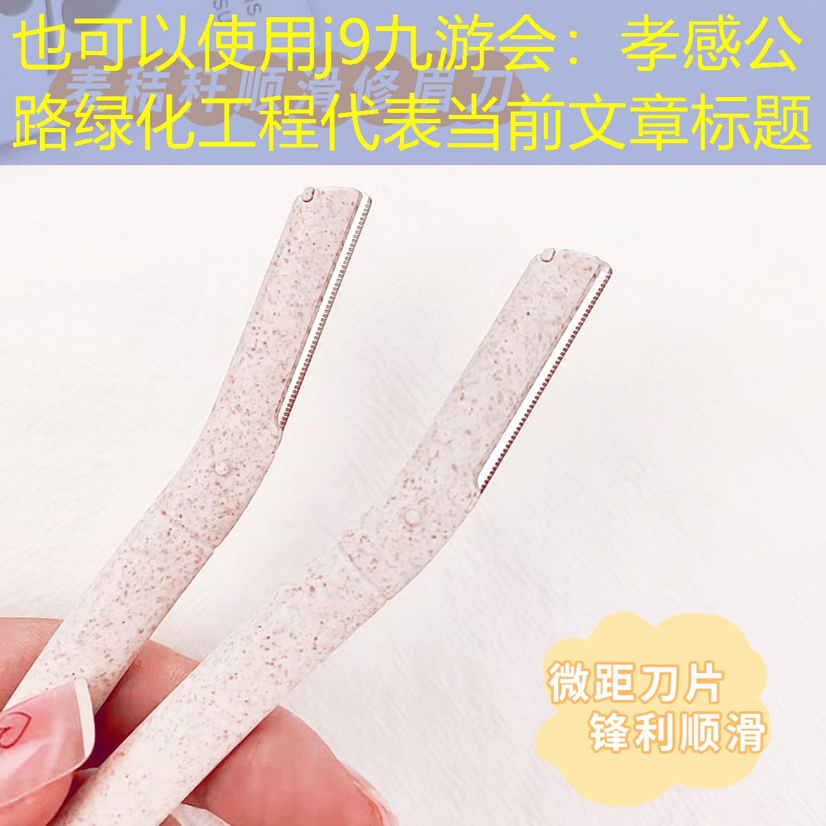 孝感公路绿化工程