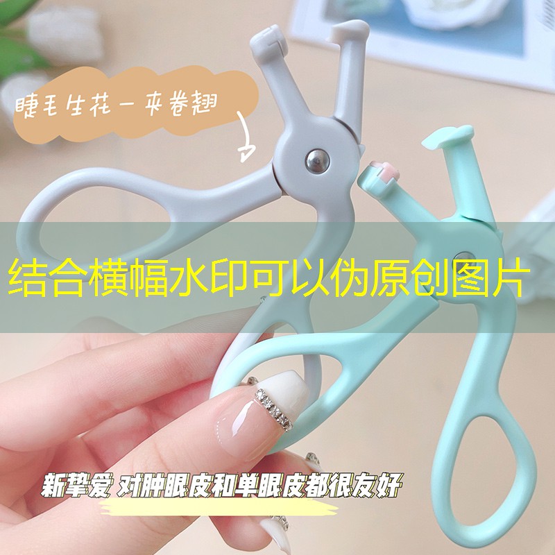 善堂镇政府绿化美化工程